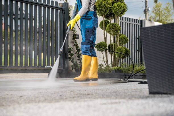 Window and Screen Pressure Cleaning